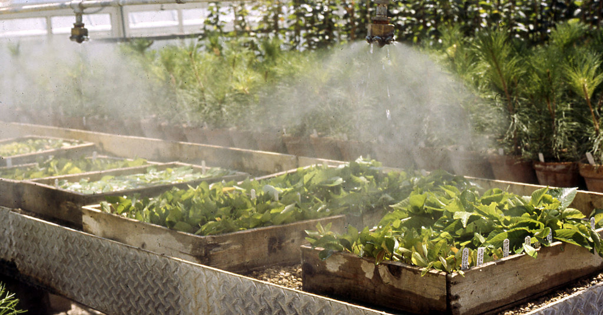 how-to-increase-humidity-for-plant-growth-hydroxchange-knowledge-base